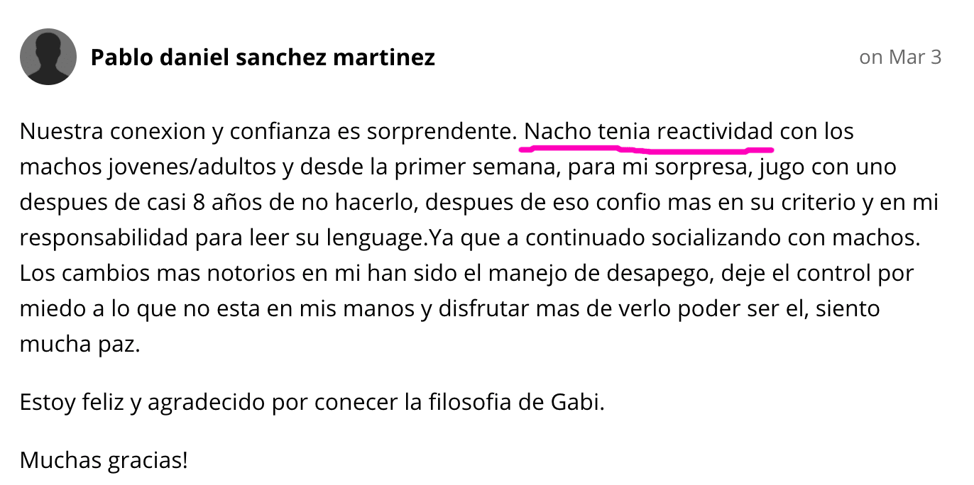 Testimonio Mi Perro Mi Espejo Dog Sensitive