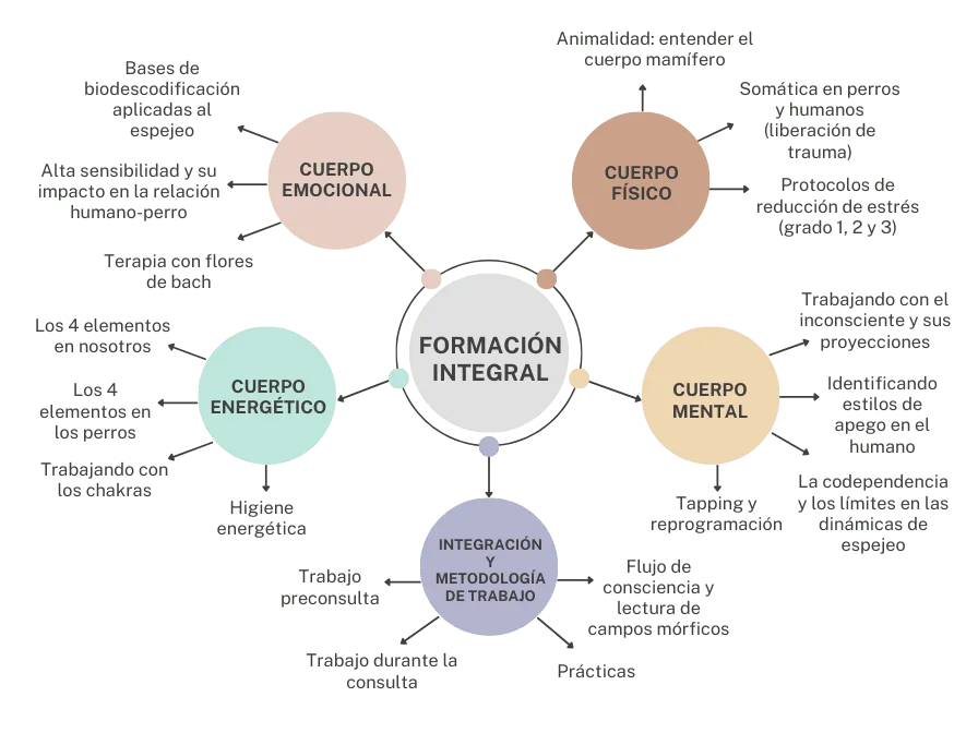 Mind Mapping Design Thinking Infographic Graph